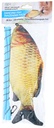 02.jpg