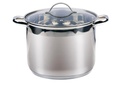 ALPINA Cooking Pot with Lid 11L Induction