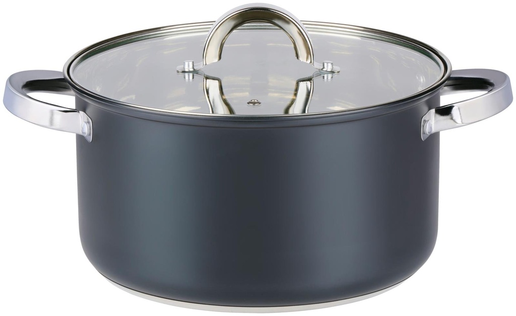 ALPINA Cooking Pot with Lid Ø24cm 6.1L Induction