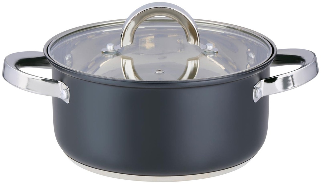 ALPINA Cooking Pot with Lid Ø21cm 3.6L Induction
