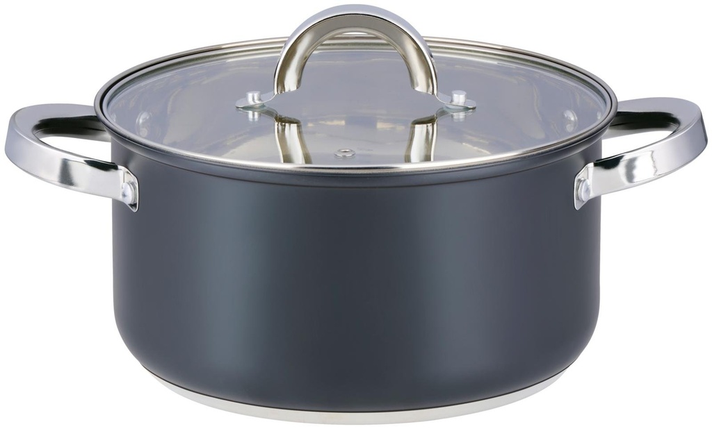 ALPINA Cooking Pot with Lid Ø22cm 4.7L Induction