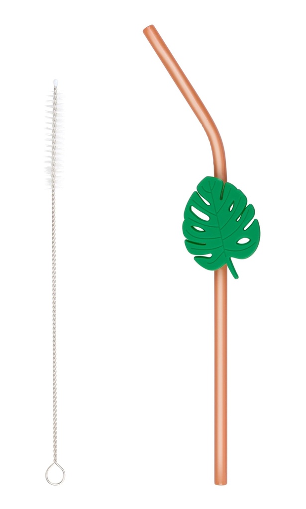 ALPINA Reusable Drinking Straws With Cleaning Brush