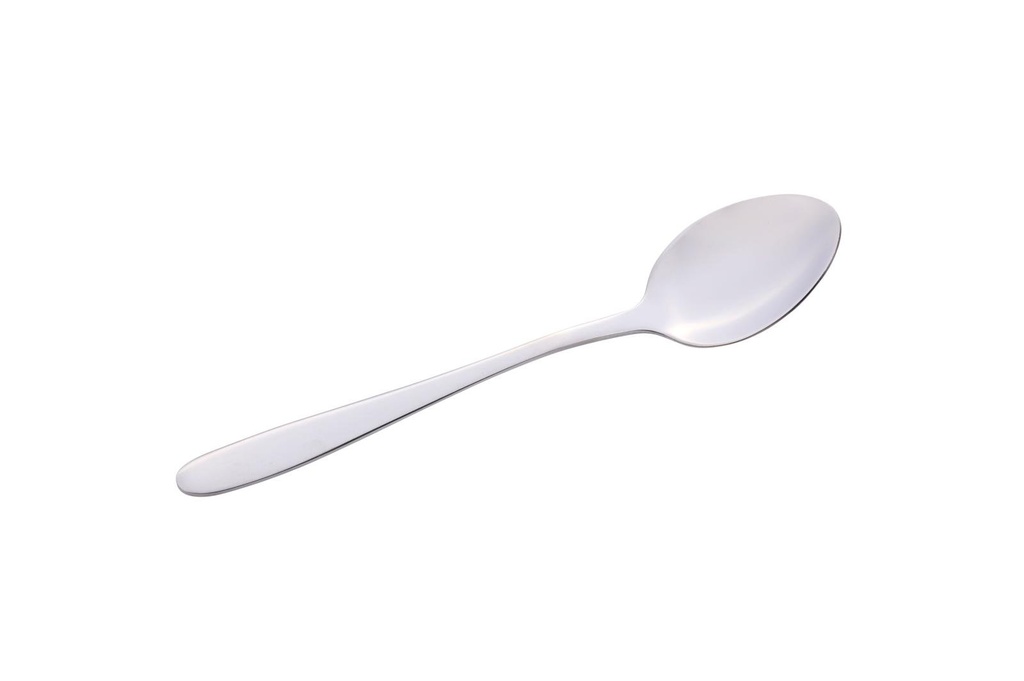 ALPINA Tea Spoon 14.5cm Mirror Finish