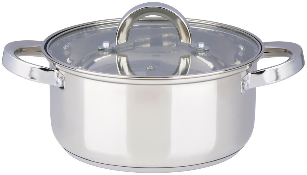 ALPINA Pan with Lid Ø21cm 3.6L