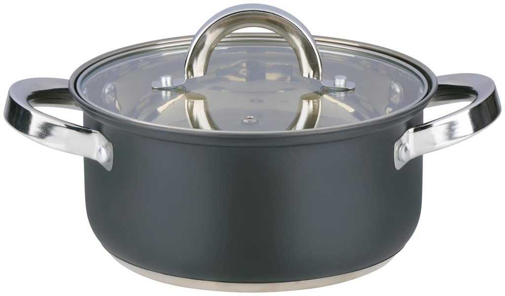 ALPINA Pan with Lid Ø18cm 2.4L Induction