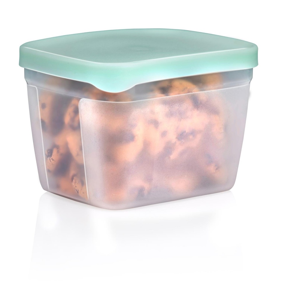 ALPINA Food Storage Box 1200ml Green