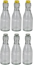 ALPINA Glass Bottles 500ml