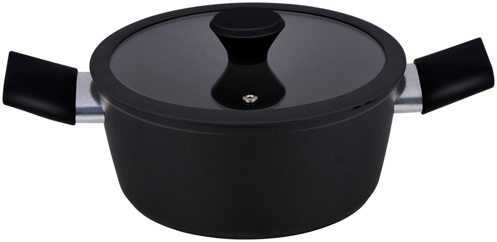 ALPINA Cooking Pot for Induction Ø20cm