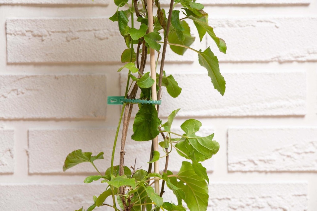 BLACK+DECKER Plant Ties 13cm