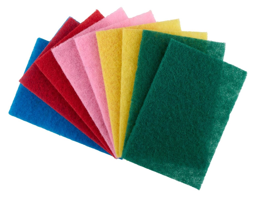 DIRT DEVIL Scouring Pads 15x10cm Recycled