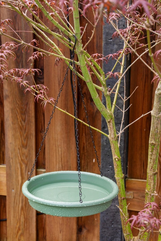 [871125249851] LIFETIME Bird Bath and Feeder Ø24.8cm Green