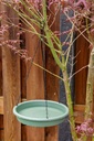 LIFETIME Bird Bath and Feeder Ø24.8cm Green