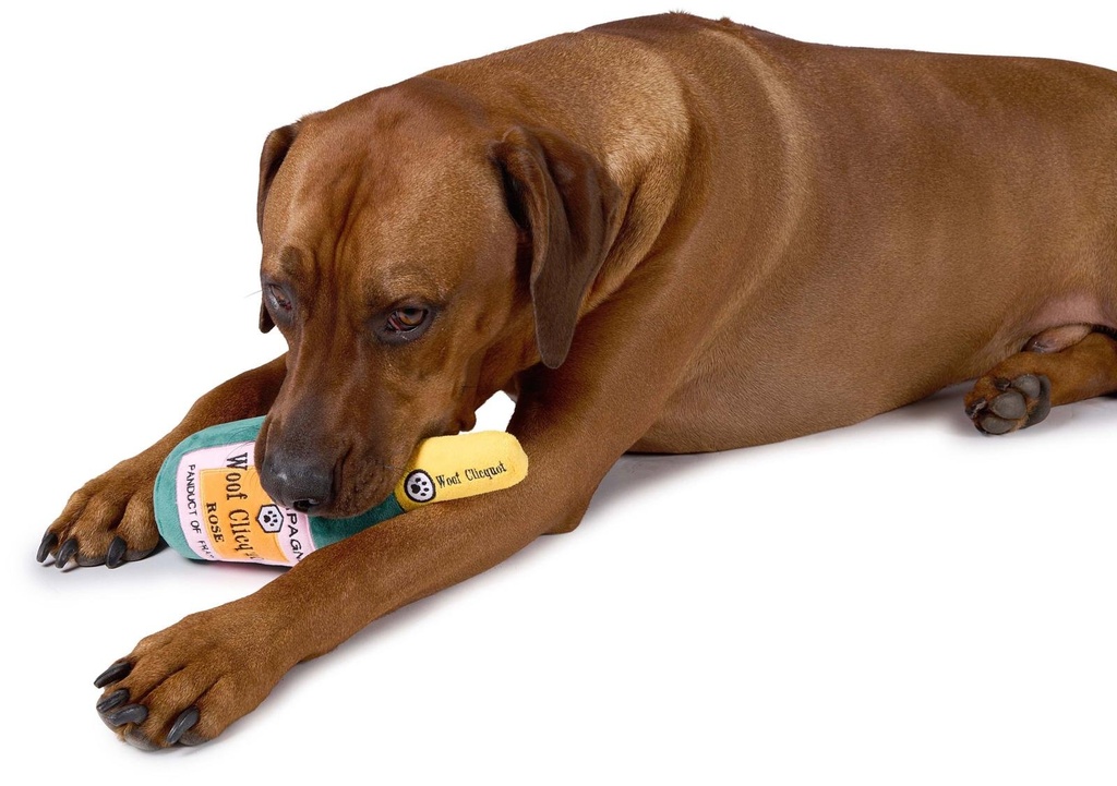[871125224566] PET TOYS Dog Toy Bottle Design 25.5cm