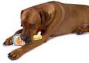 PET TOYS Dog Toy Bottle Design 25.5cm