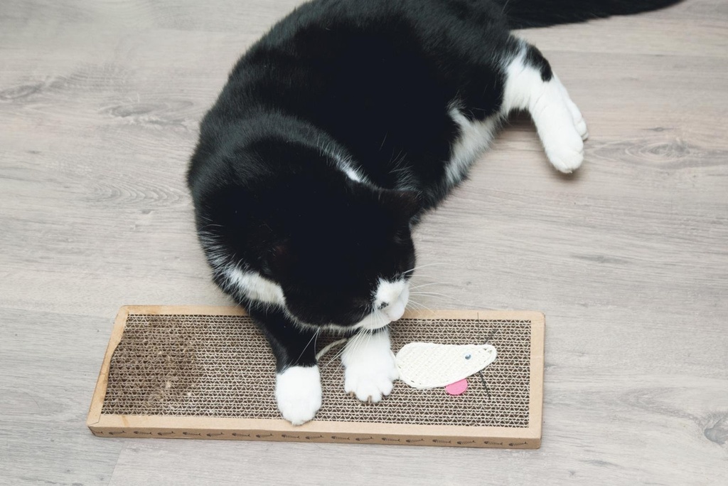 PET TOYS Cat Scratcher 38x12.5x1.8cm
