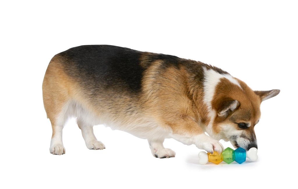 PET TOYS Dog Toy Snack Bone