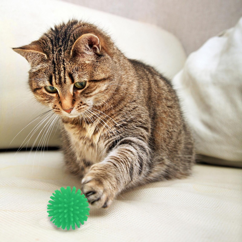 [871125223937] PET TOYS Cat Toy Ball Ø3.5cm