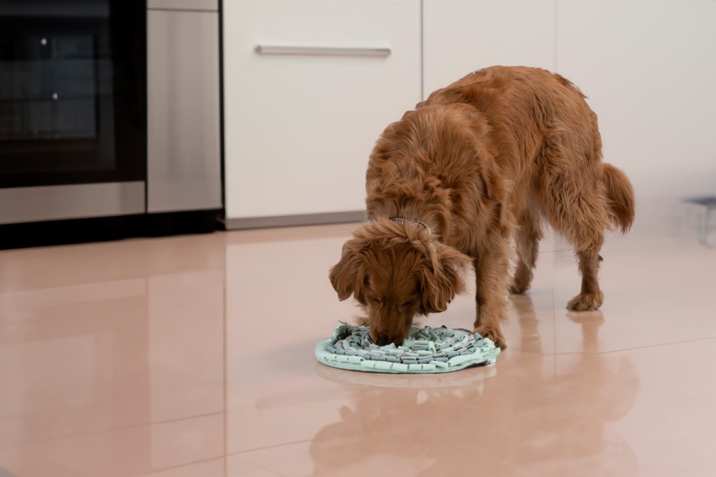 PET TOYS Dog Sniffing Mat Ø40x2cm