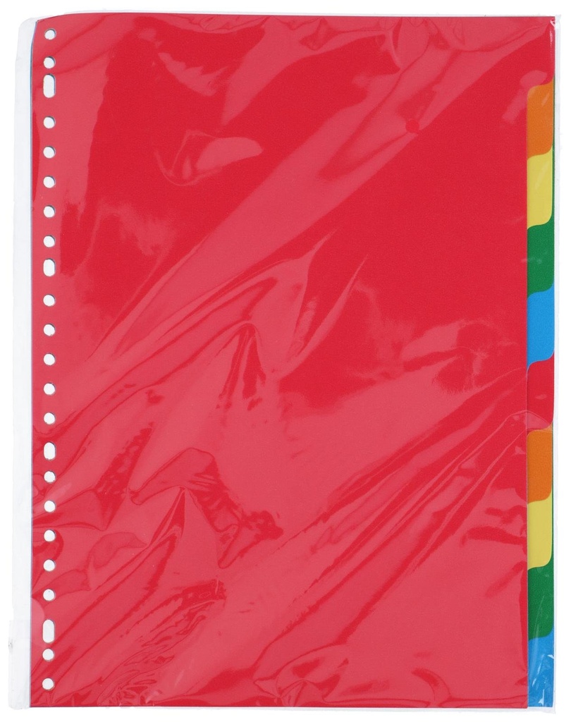TOPWRITE Tab Sheets Paper 23-Holes 30x22.5cm