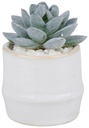 ARTICASA Artificial Plant With Pot 6x6x10cm