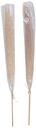 ARTICASA White feather pampas grass 120cm