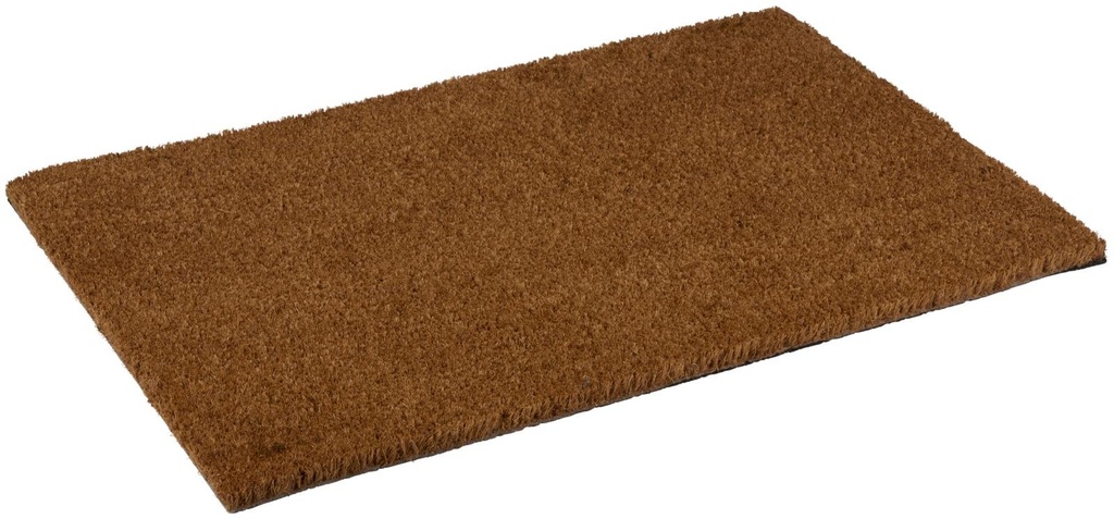 ARTICASA Doormat 60x40cm