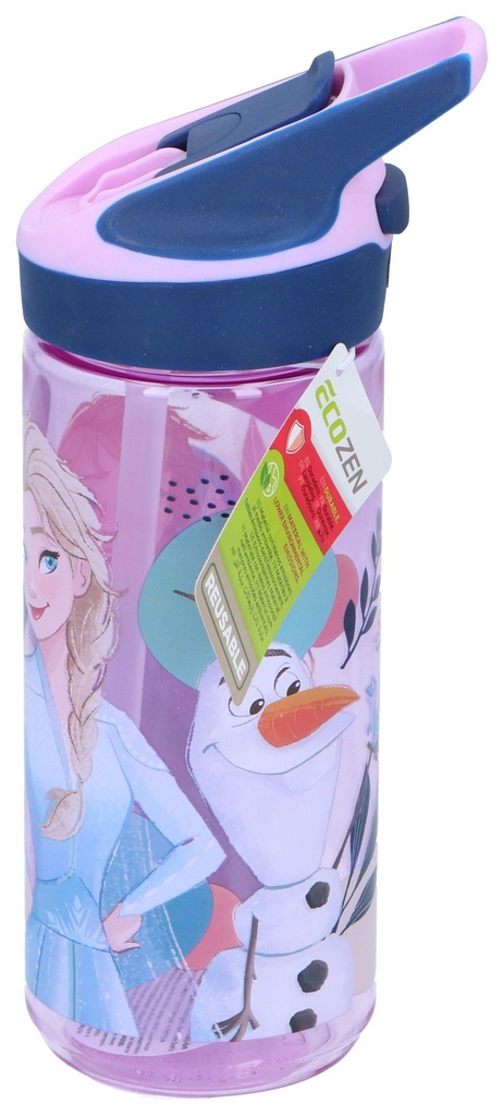 DISNEY Kids Water Bottle with Straw