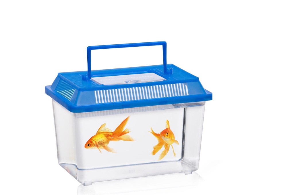 Insect Box 13.5x21x13.5cm