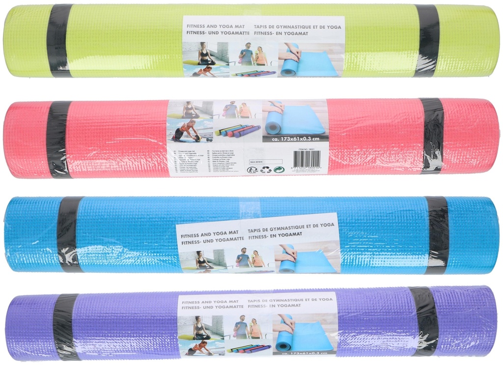 Fitness and Yoga Mat 173x61cm