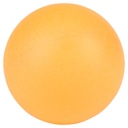 Beer Pong Game Adult