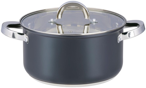 [871125225934] ALPINA Cooking Pot with Lid Ø22cm 4.7L Induction