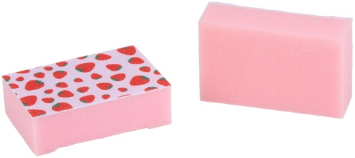 [871125243484] ALPINA Cleaning Sponge 11x7x3cm