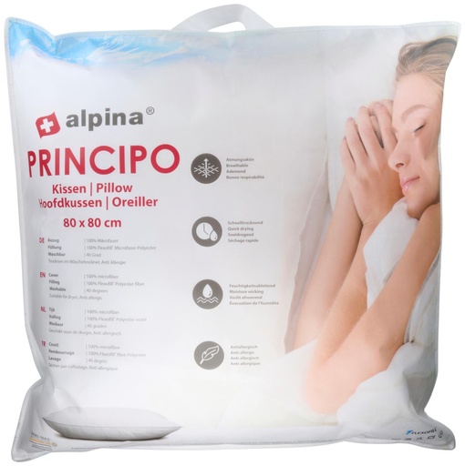[871125250158] ALPINA Pillow 80x80 cm