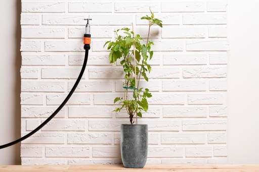 [871125223692] BLACK+DECKER Plant Strips 12x2x24cm