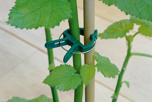 [871125213144] KINZO Plant Clips for Garden Plants