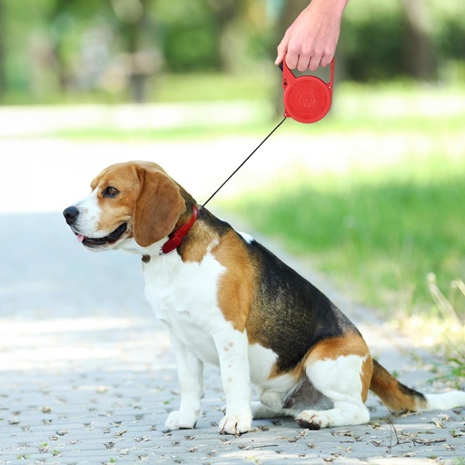 [871125206478] LIFETIME Dog Leash Retractable 3m