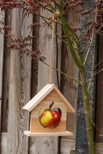 [871125249853] LIFETIME Bird Feeder Apple Holder 19x19cm