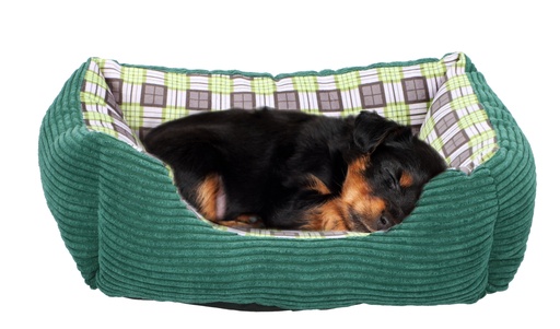 [871125218007] PET COMFORT Dog Bed 47x37x17cm Size S
