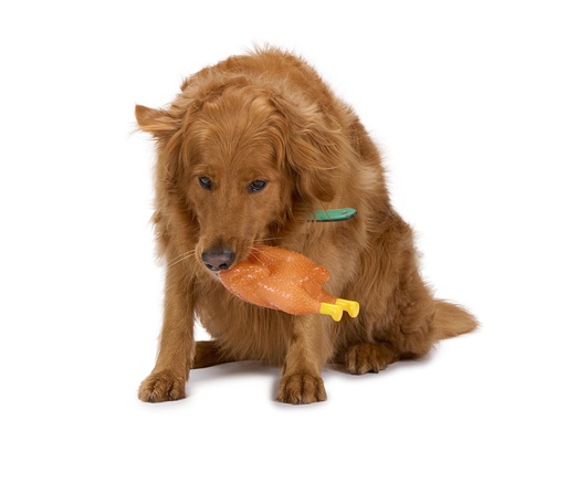 [871125255666] PET TOYS Dog Toy Turkey