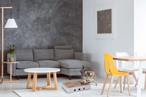 [871125247431] PET TOYS Cat Scratch Board with Play Balls