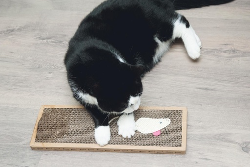 [871125238981] PET TOYS Cat Scratcher 38x12.5x1.8cm