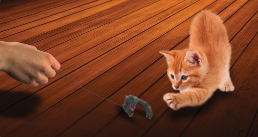 [871125203677] PET TOYS Cat Toy Mouse With Tail