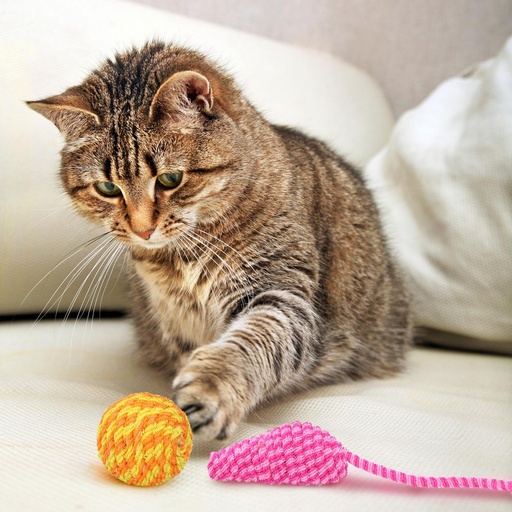 [871125227014] PET TOYS Cat Toy Mouse and Ball