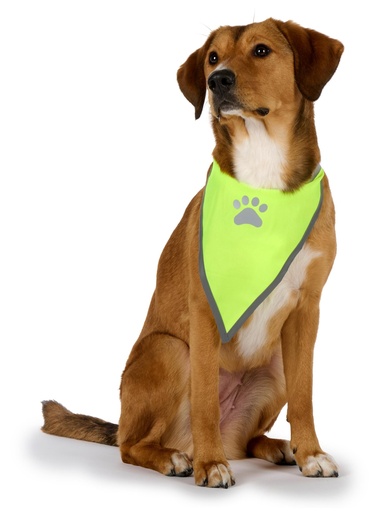 [871125242490] PET TRANSPORT Dog Safety Bandana M/L