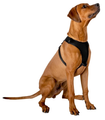 [871125219001] PET TREATMENT Dog Harness L 67.6-106.5cm
