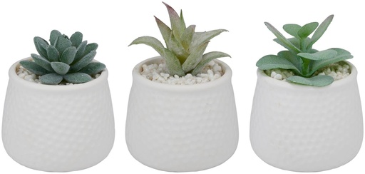 [871125250096] ARTICASA Artificial Plant in Pot Ø8.5x12cm