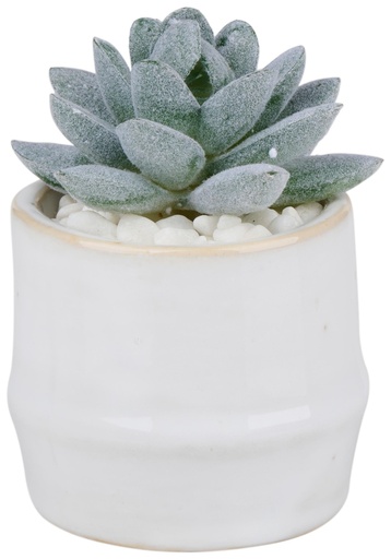 [871125233552] ARTICASA Artificial Plant With Pot 6x6x10cm