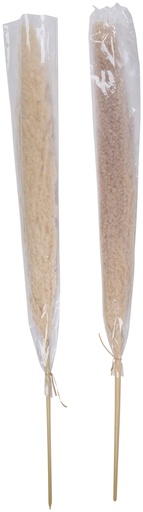 [871125258708] ARTICASA White feather pampas grass 120cm