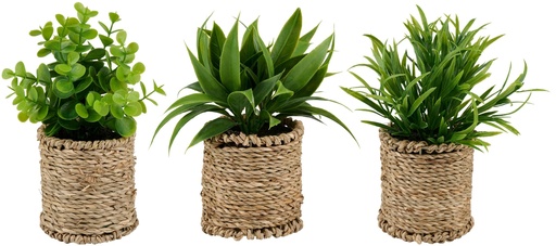 [871125233551] ARTICASA Artificial Plant Decoration 8x8x17cm