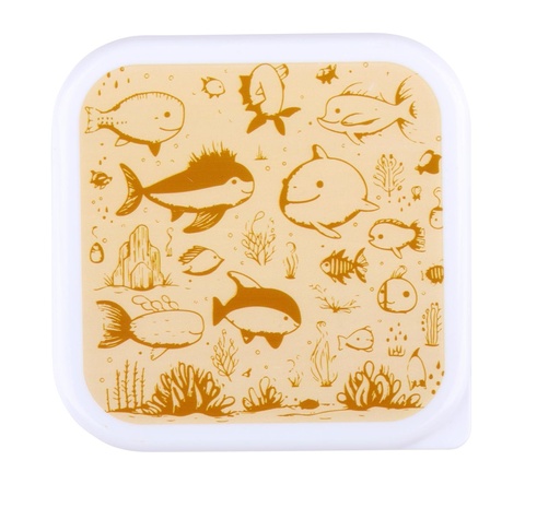 [871125255994] Lunchbox Storage Container 12x2.5/10.3x4.8/9x4.3cm